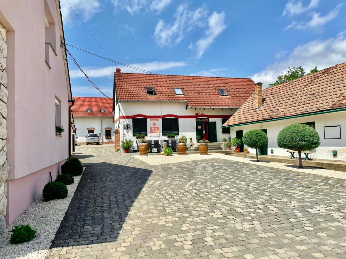 Mayer Pince Panzio Villány Exteriör bild