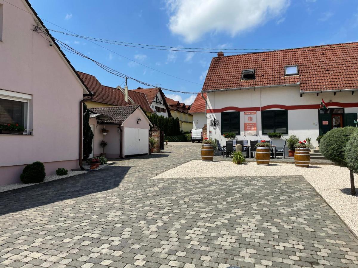 Mayer Pince Panzio Villány Exteriör bild